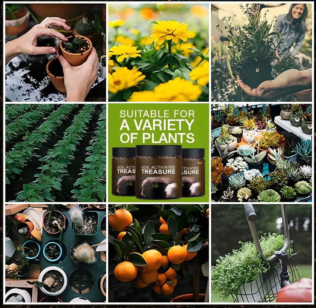 Premium Soil Activator | Organic Soil Activated Treasure