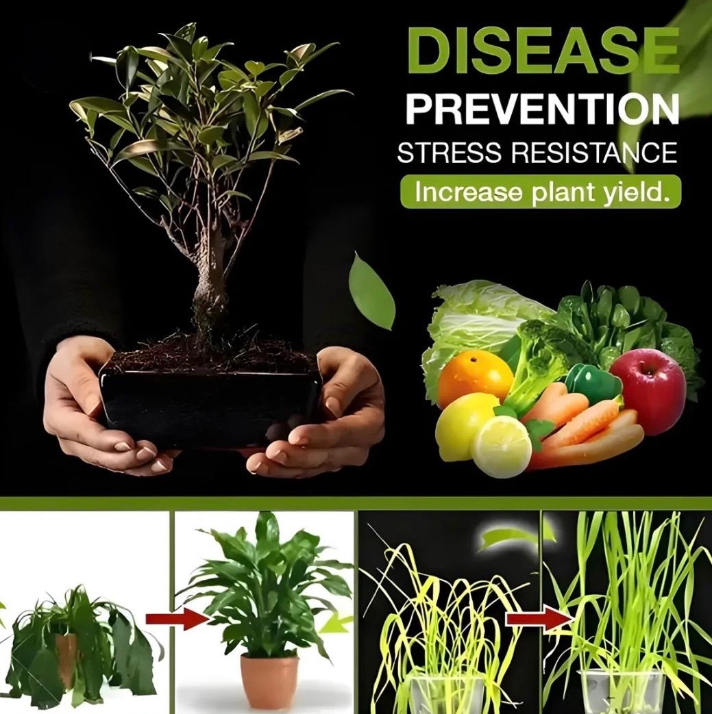 Premium Soil Activator | Organic Soil Activated Treasure